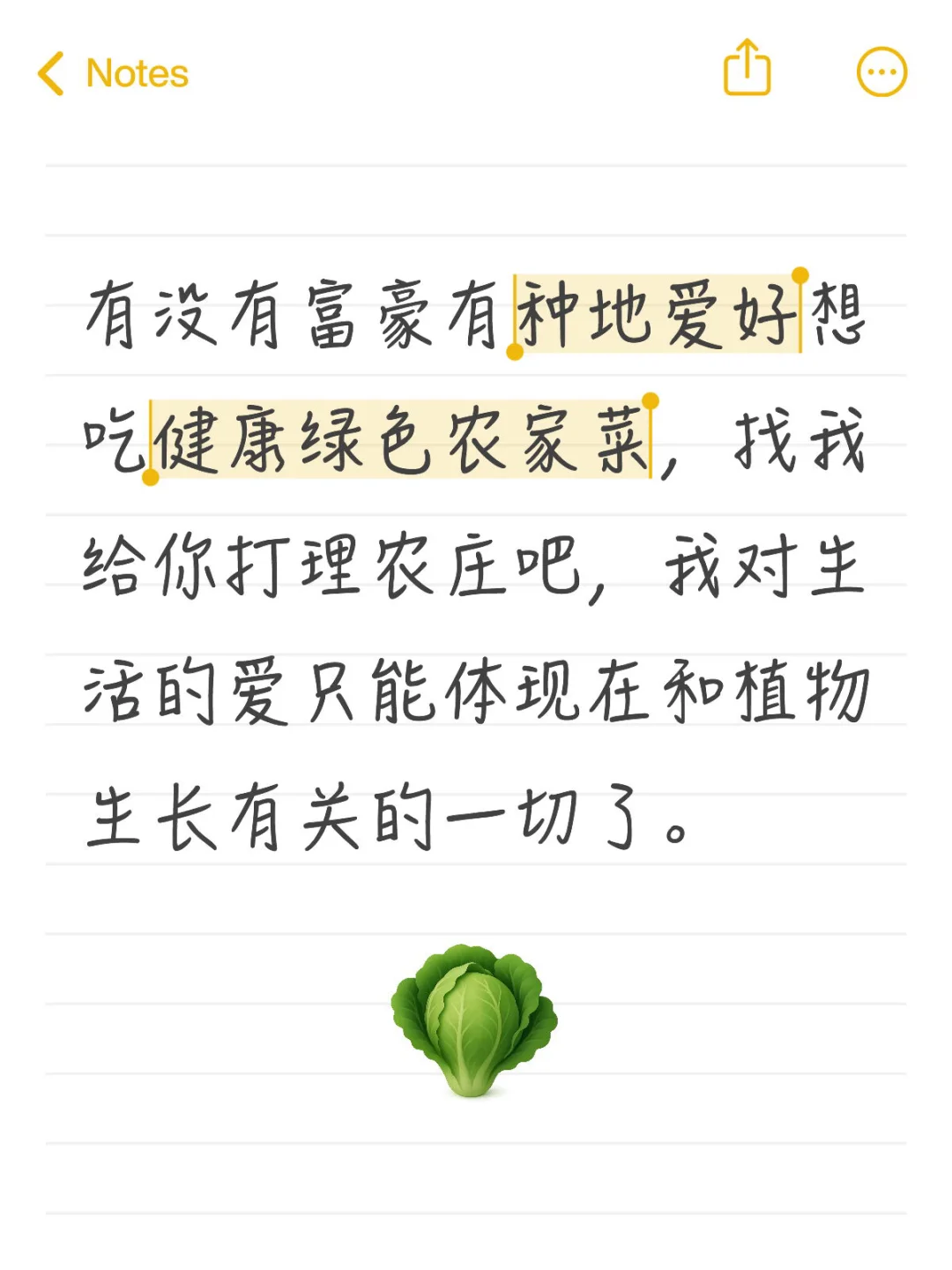 农庄主理人工作自荐