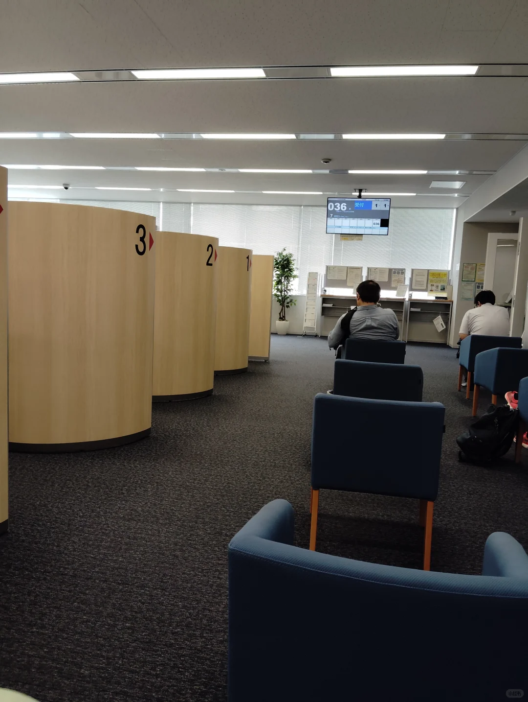 语校生退学 转工签 IT入职招聘