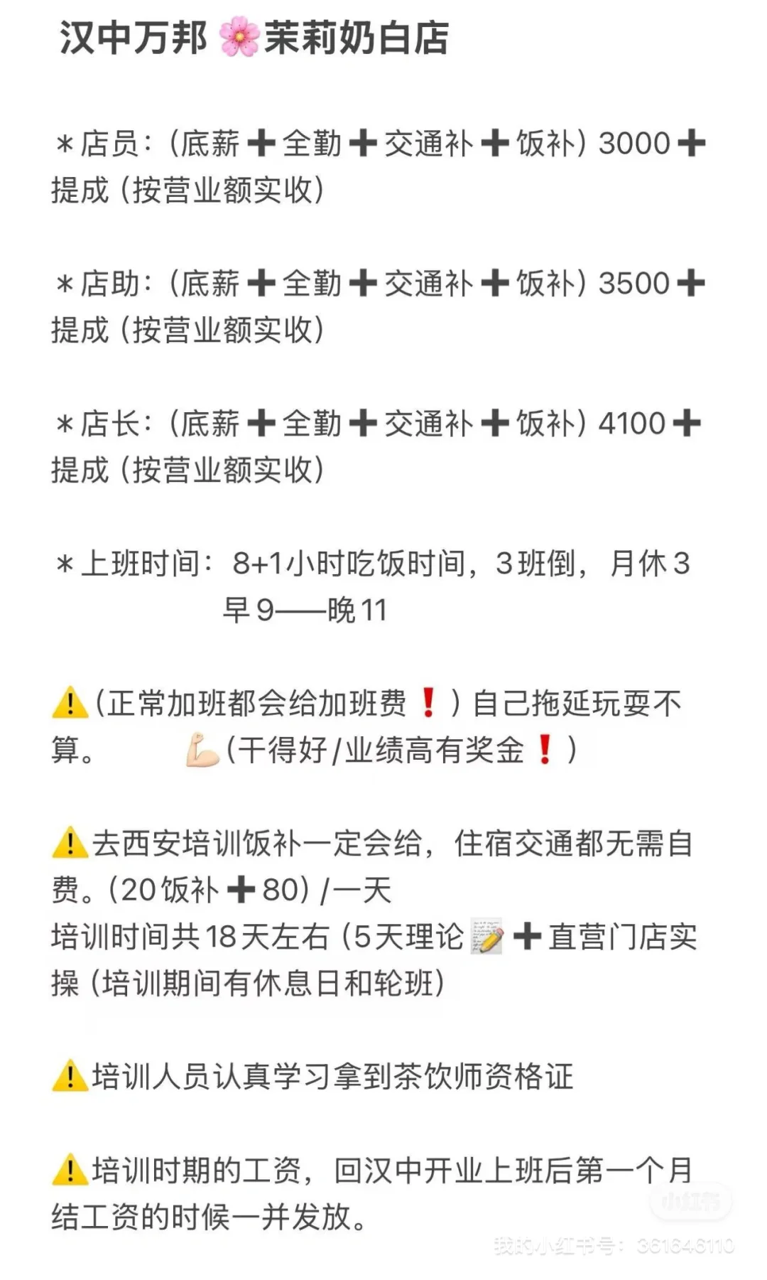 茉莉奶白招聘！