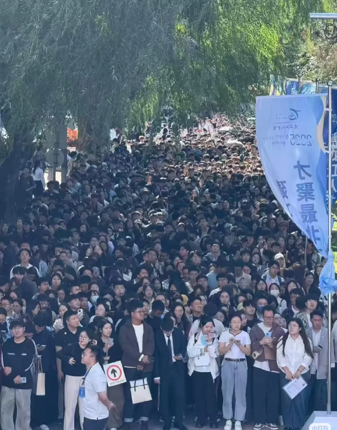 大学招聘这么卷吗？