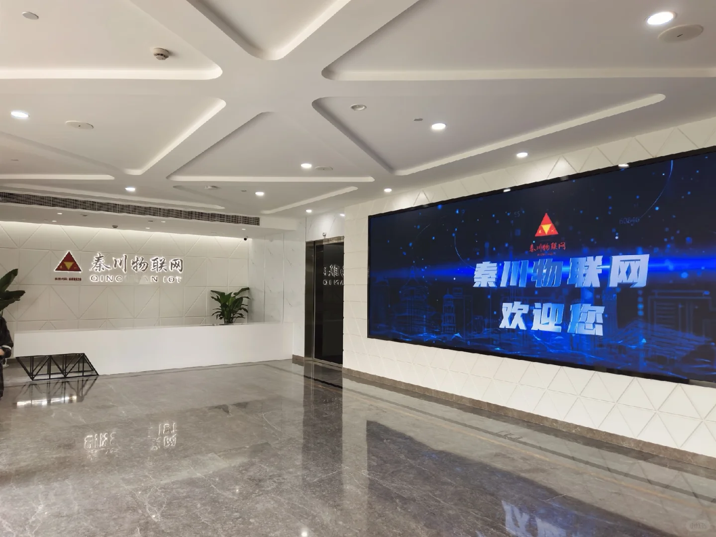龙泉工厂直招