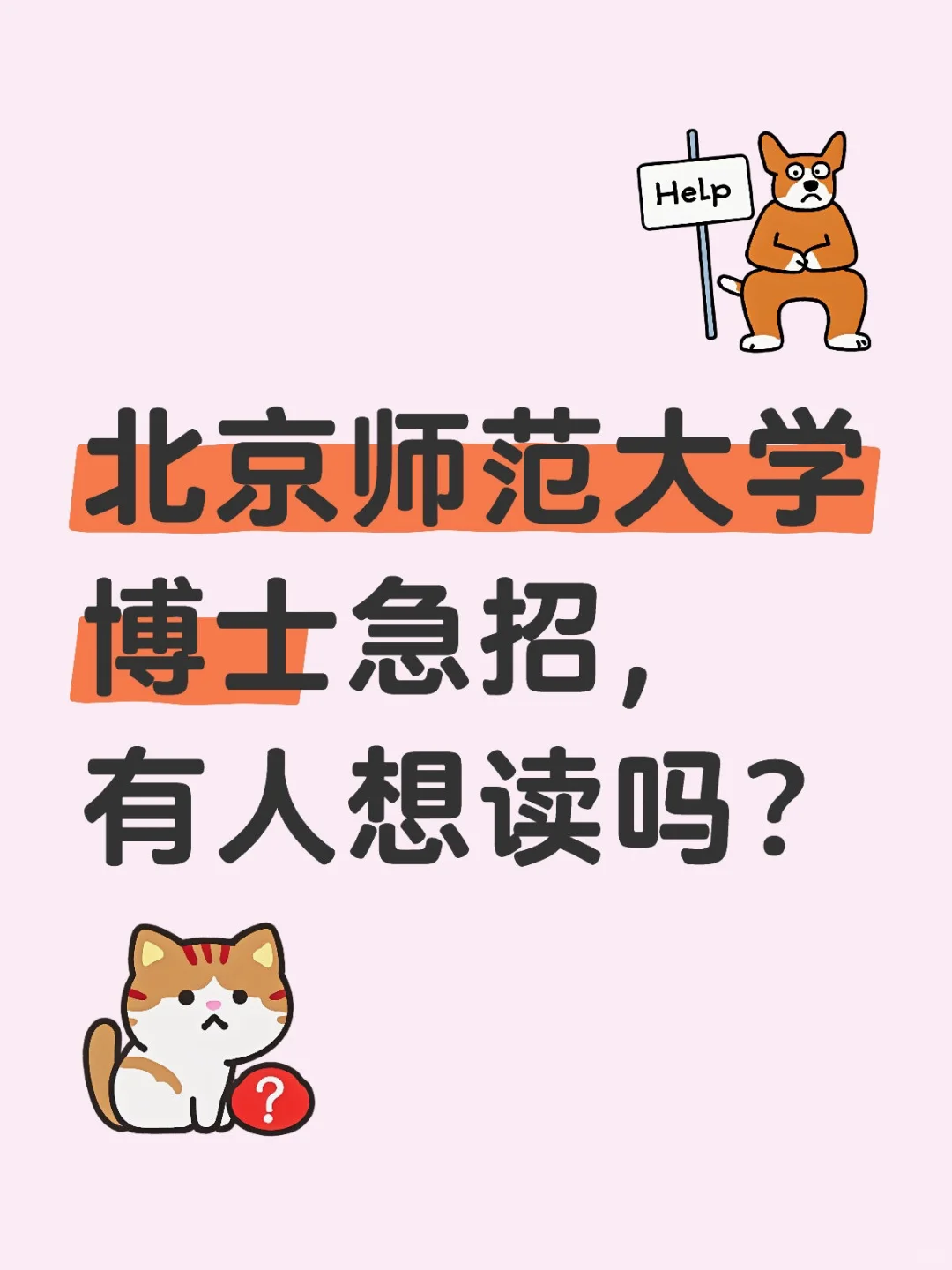 北京师范大学博士急招，有人想读吗？