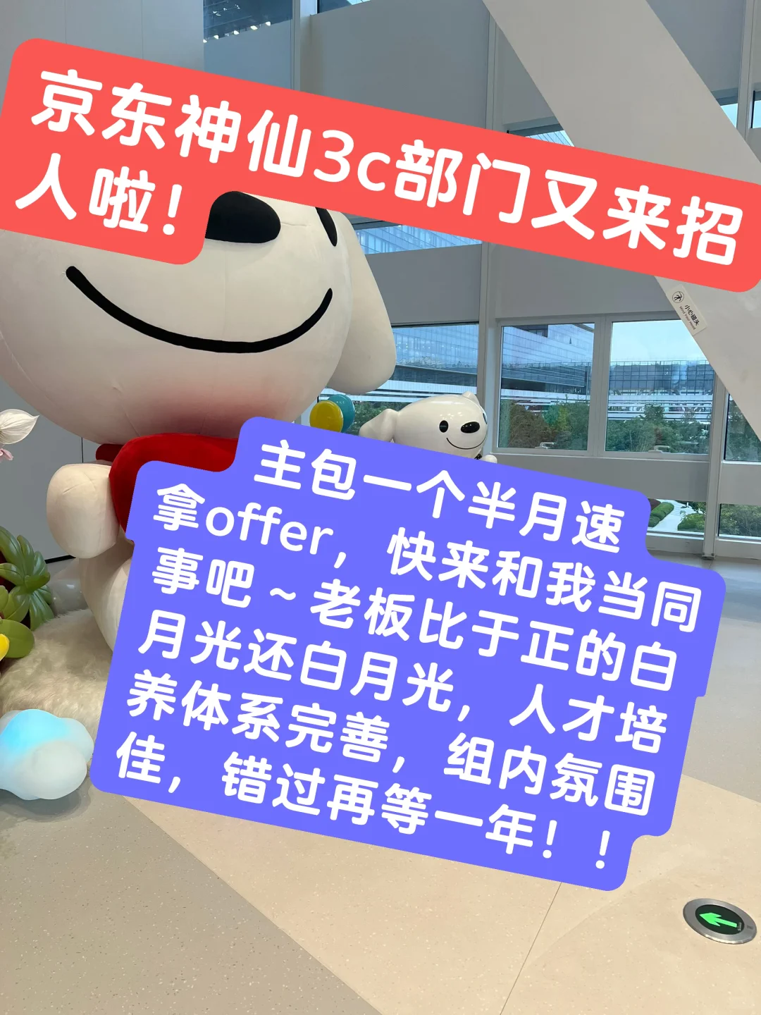 是谁收不到简历被嘲笑了