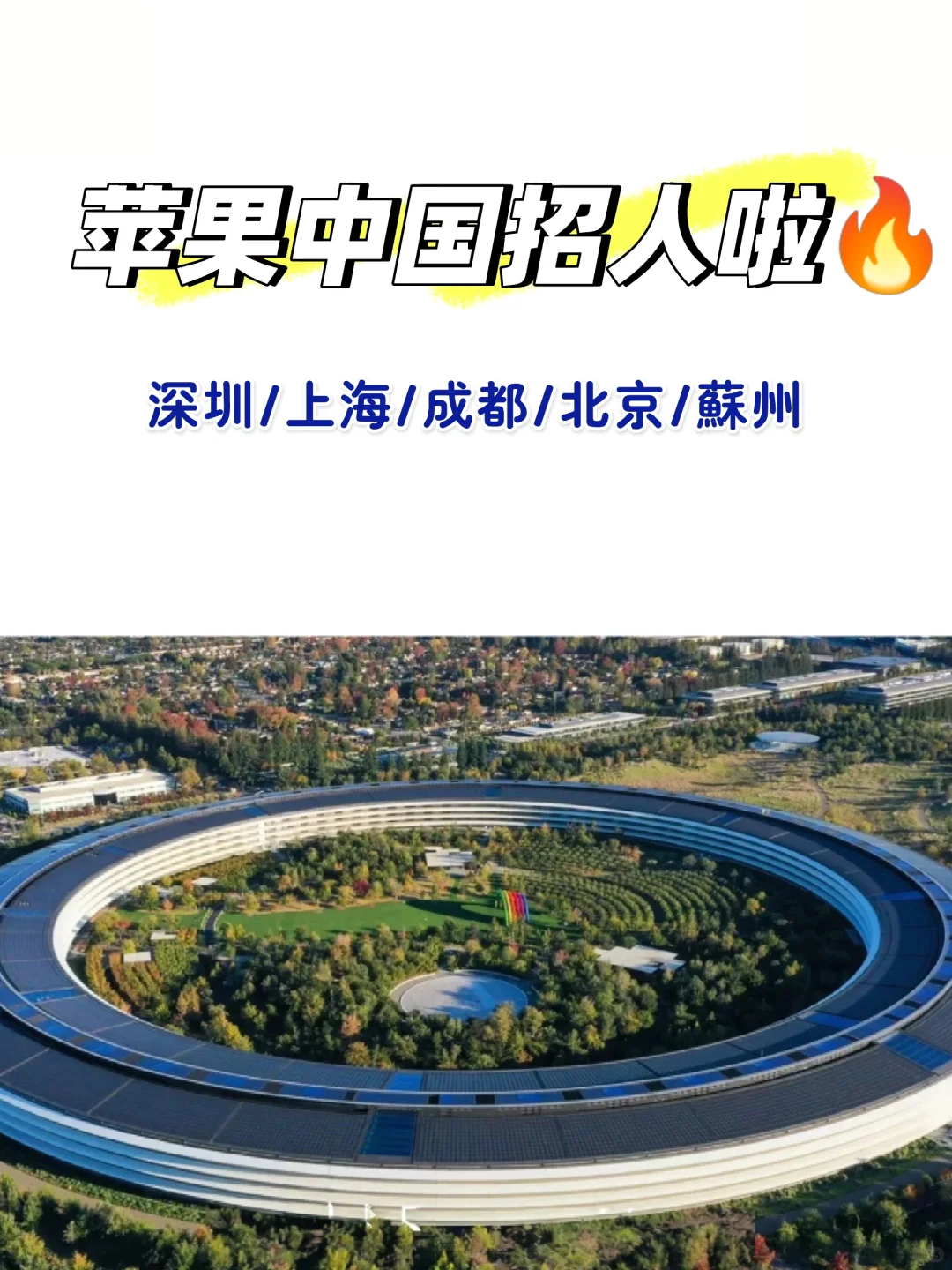 苹果中国开放300+岗位，内推通道开启🔥