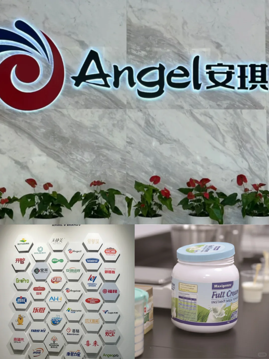 安琪酵母食品秋招有想来的吗？接受无经验