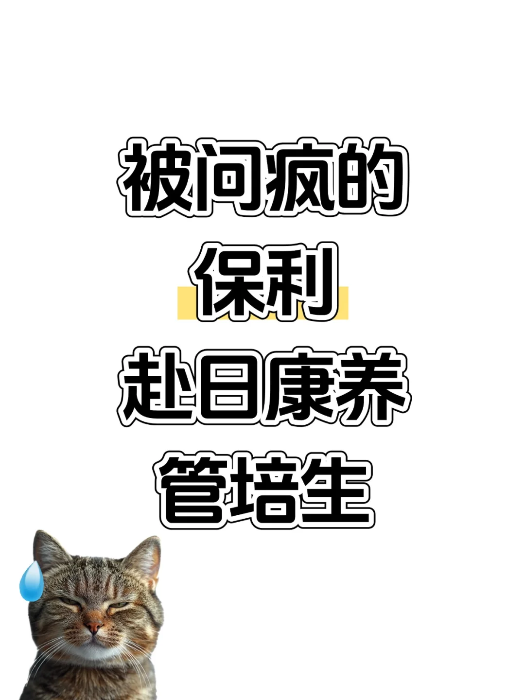 被问疯的保利赴日康养管培生｜真央企！