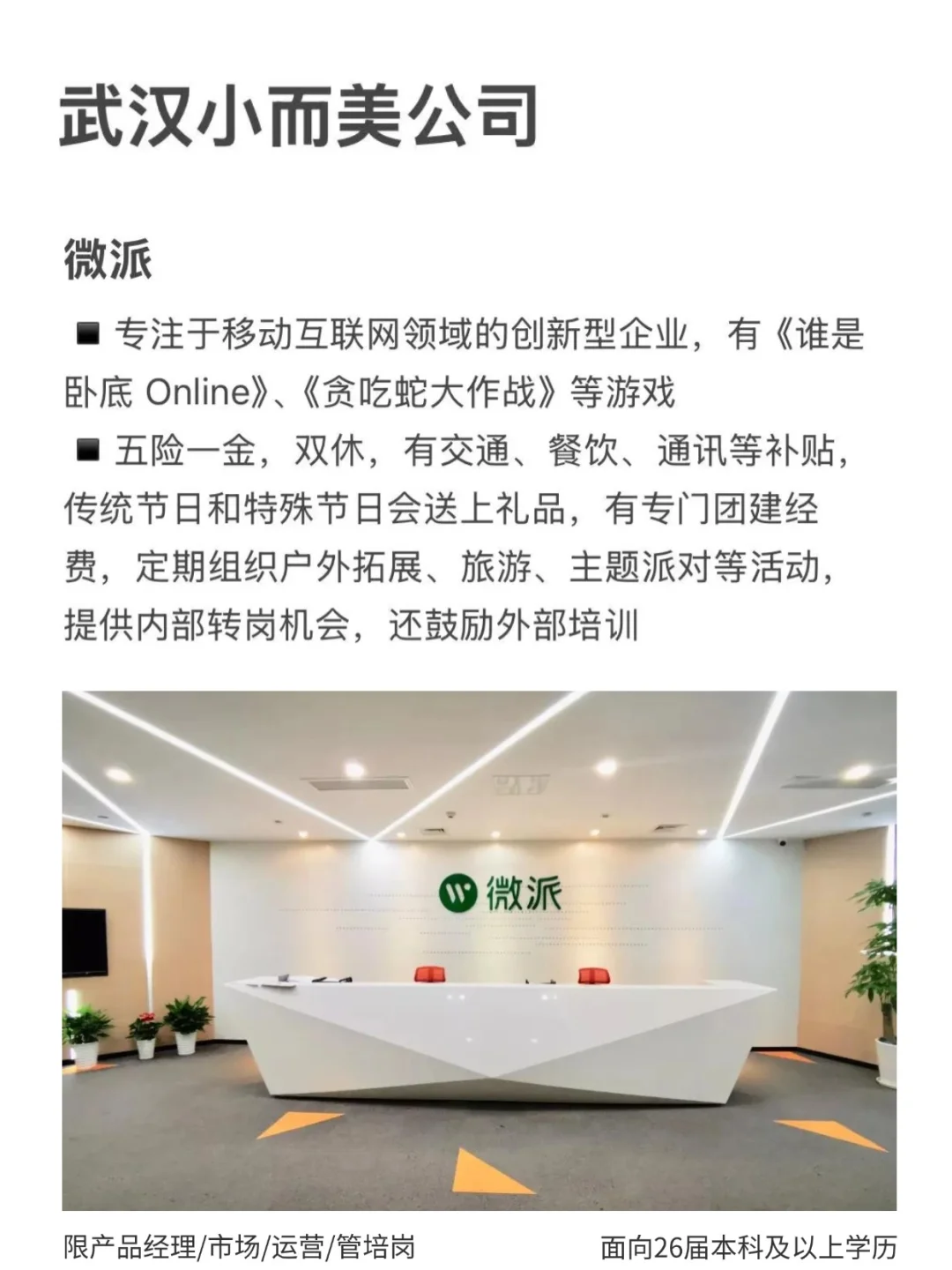 武汉小而美公司