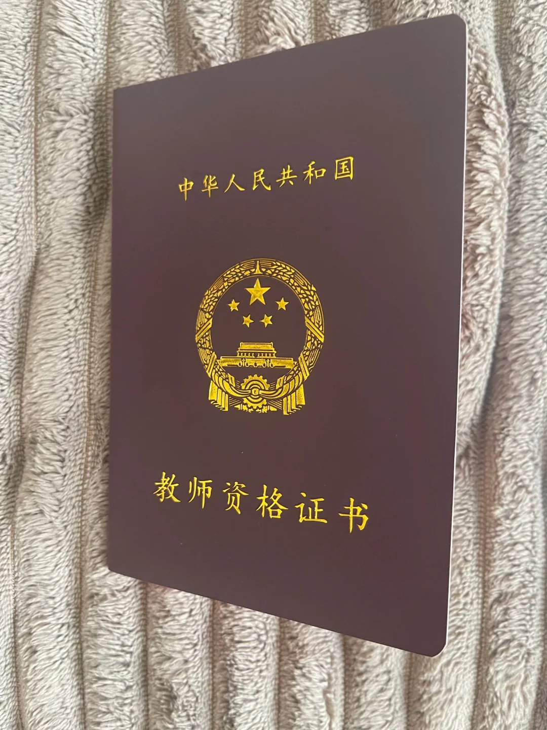 家庭托育/托管/临时照顾
