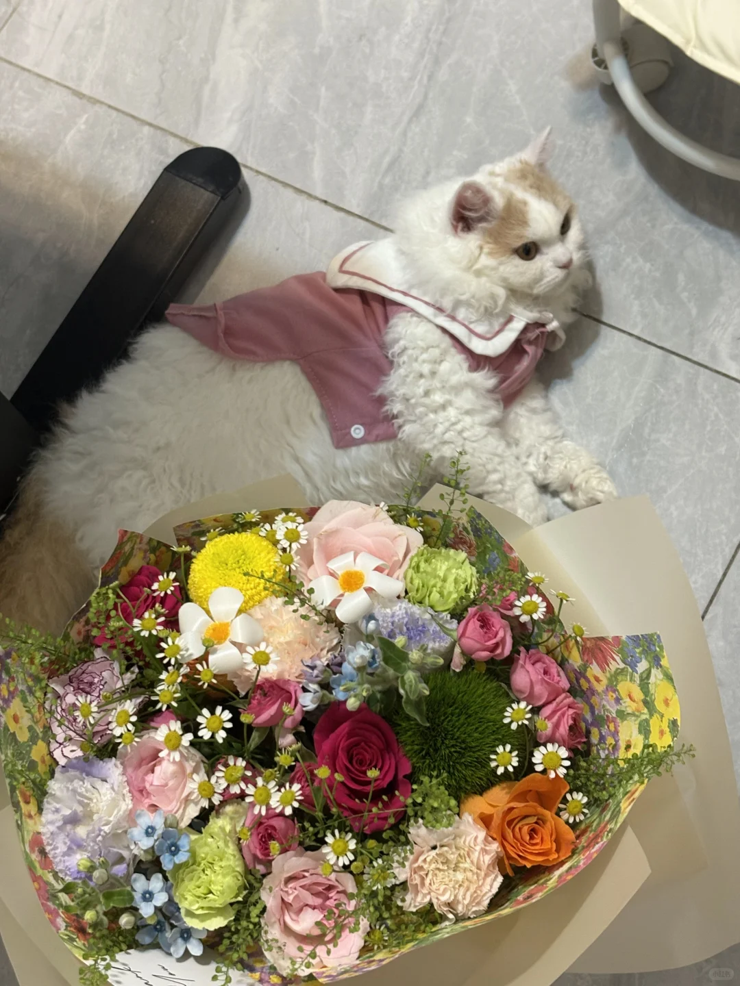 金九银十：师范生友好的教育外企