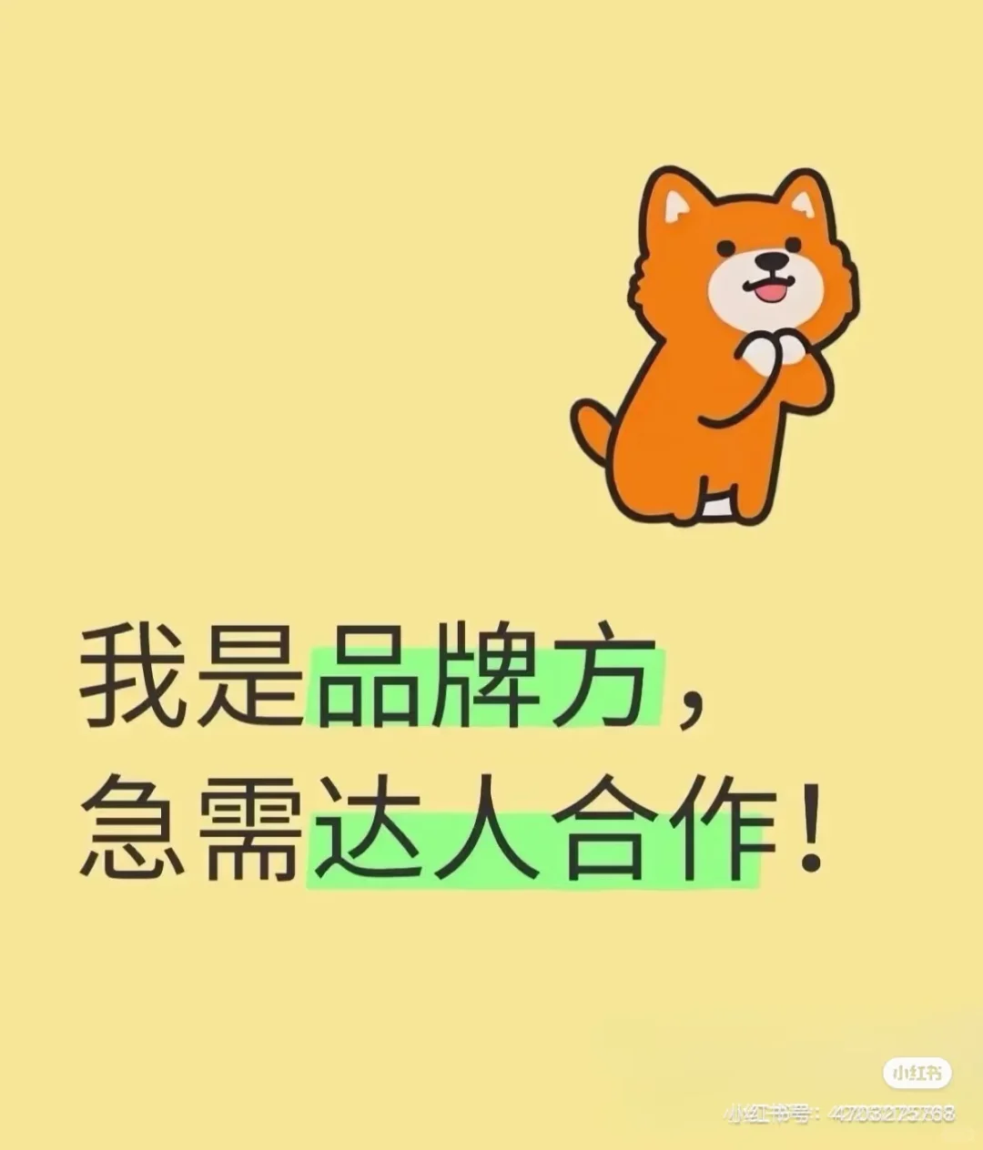 达人 达人