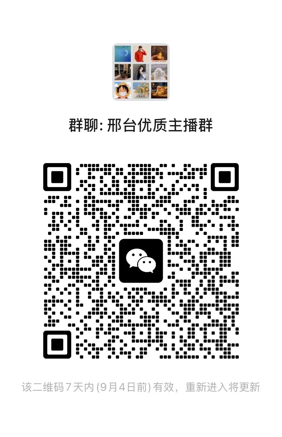 邢台优质带货主播群