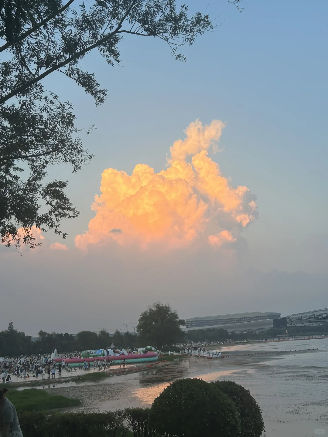郑州带货主播 最后空缺一个