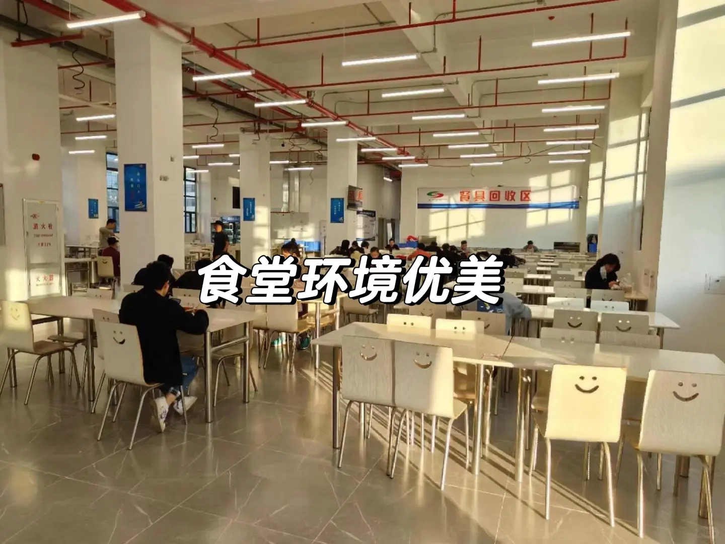 浙江电子厂招人了