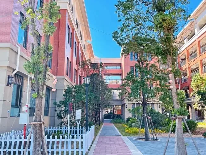 厦门集美区，小学财务岗招聘，五险一金！