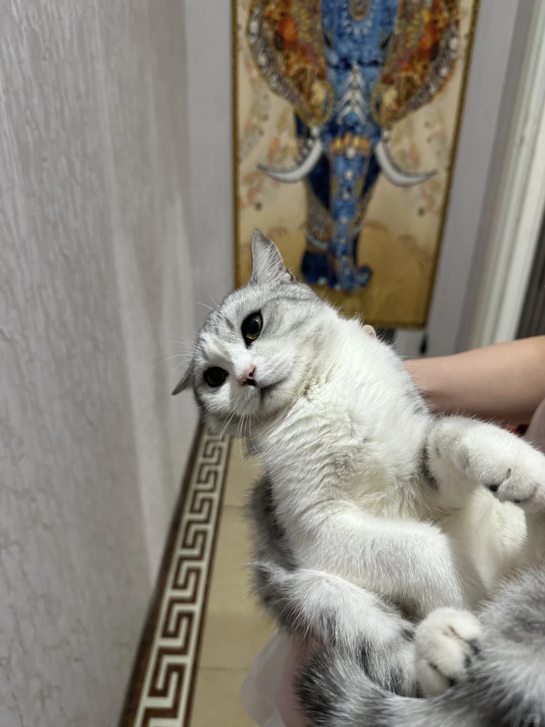 青岛招聘！！！！！