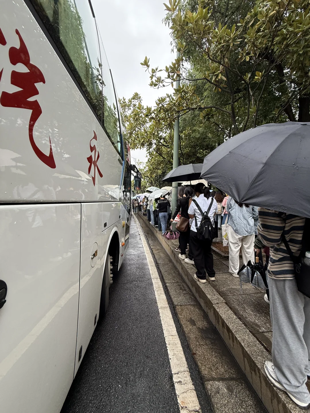 中南招聘会实况，感觉和黑龙江11万人一样😱
