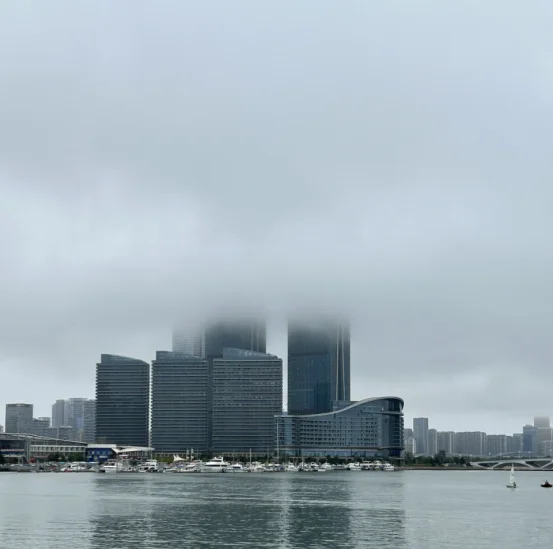 草包留子回国意外入职北欧外企，已躺平退休