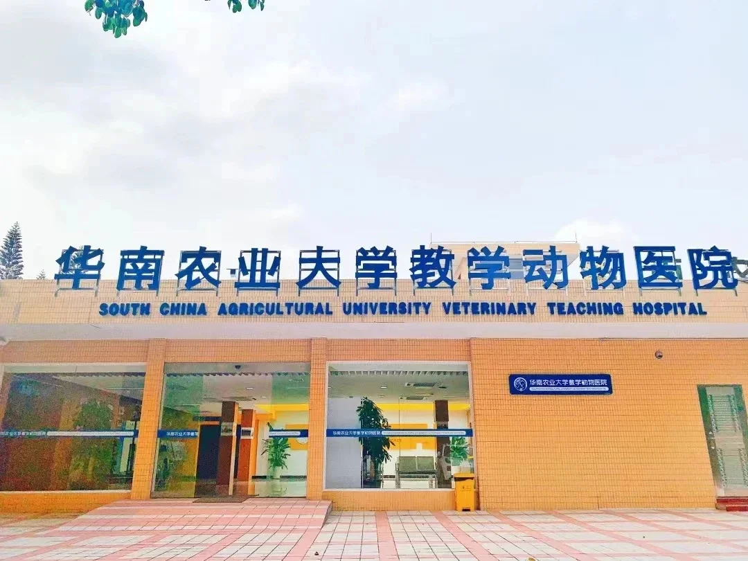 华南农业大学动物医院院长公开招聘公告