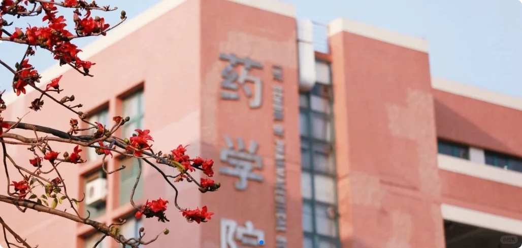 中山大学药学院招聘专业技术人员1名！