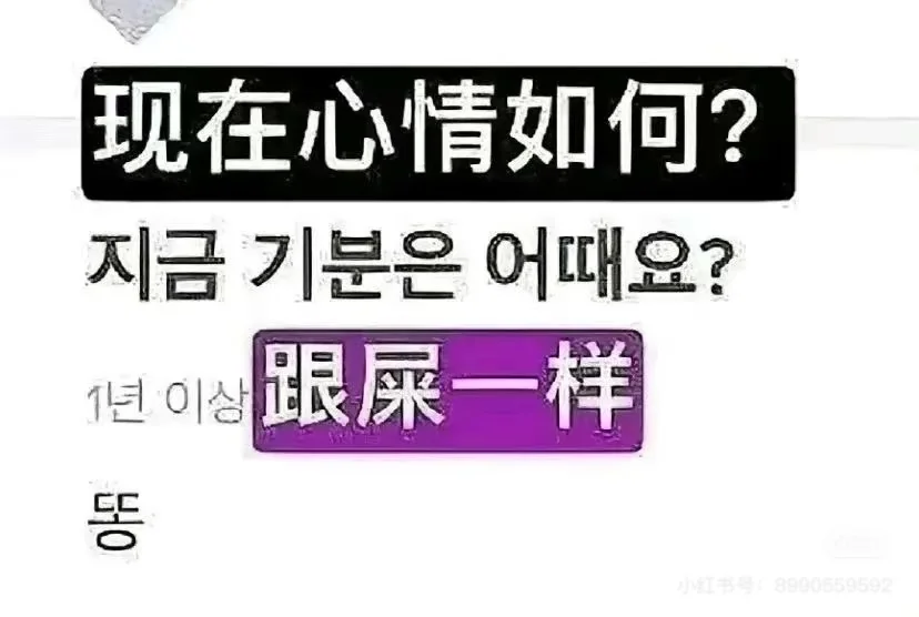 好工作你在哪里