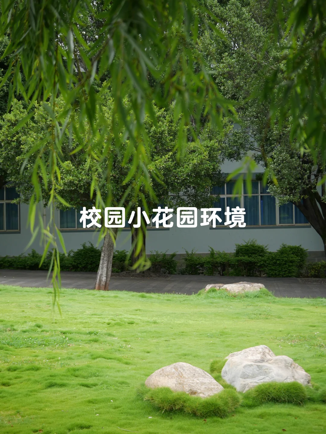 大理下关招聘无人机主播