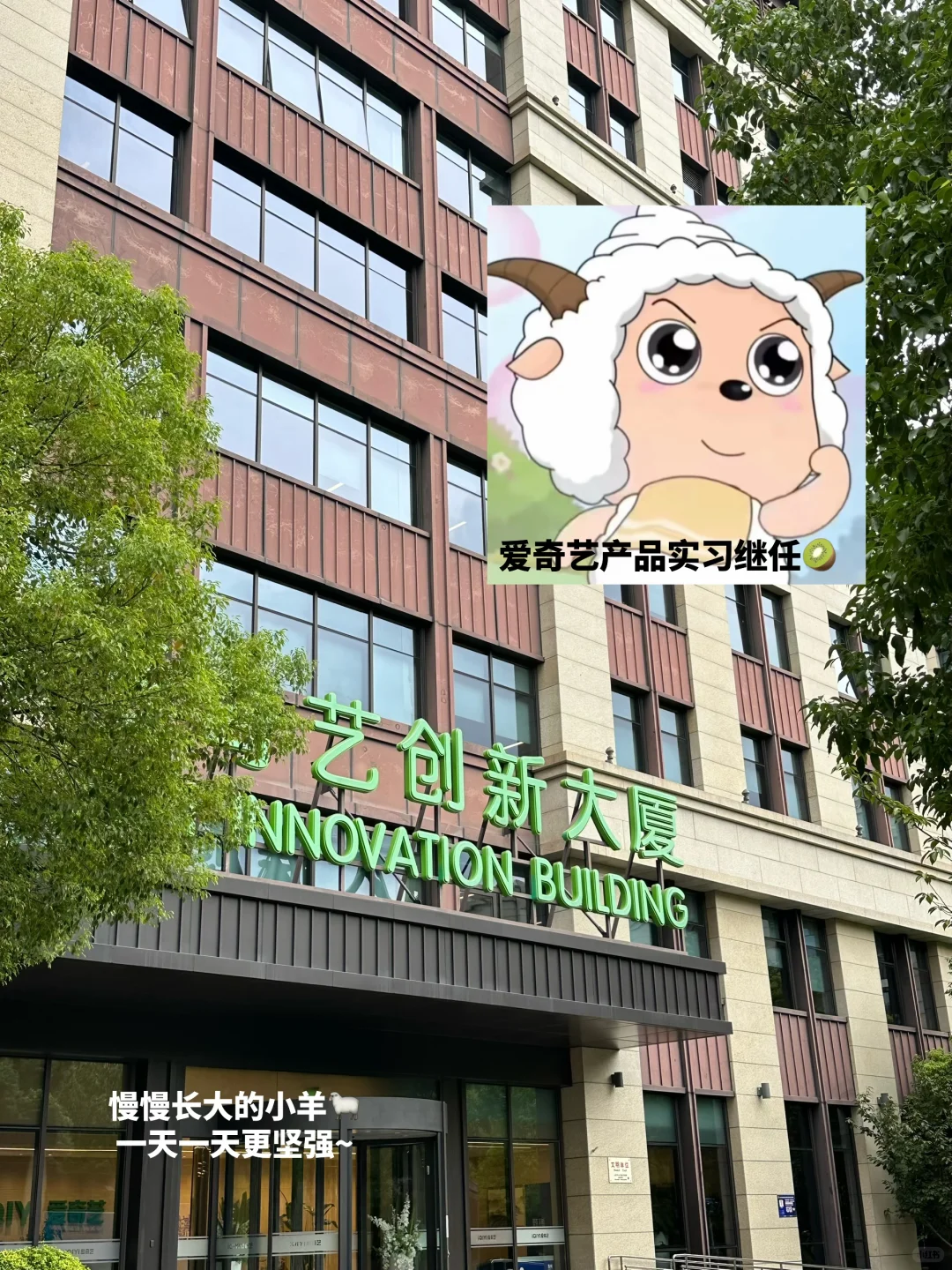 爱奇艺🥝互动产品实习招继任【已离职~】