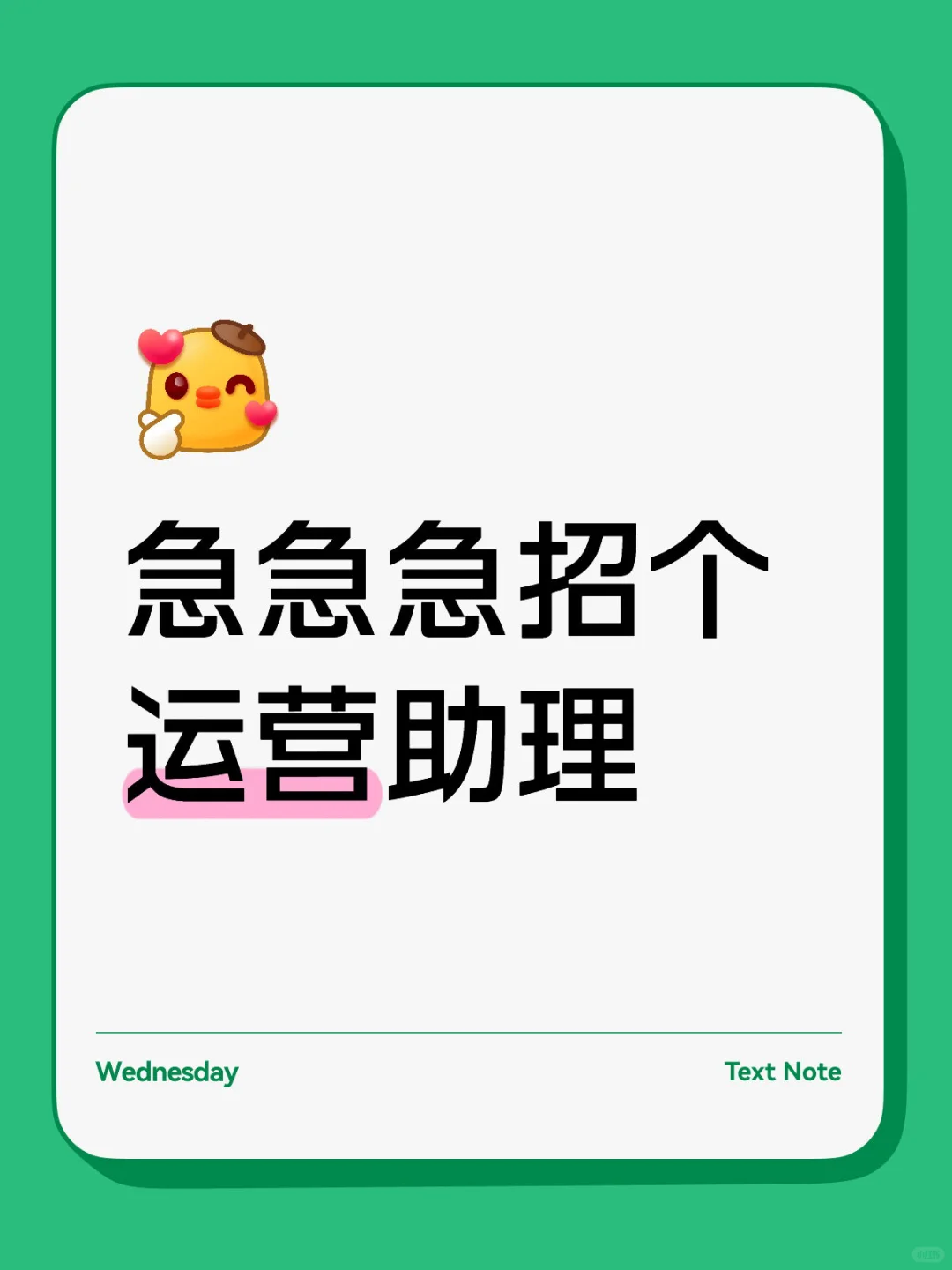 急急急招个运营助理