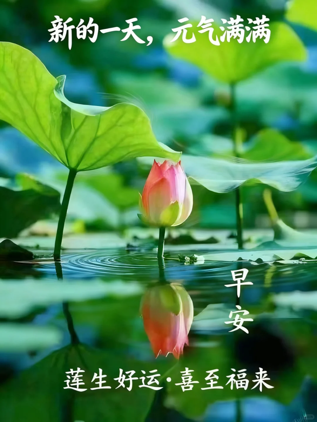 【招聘启事｜寻找闪闪发光的你】✨