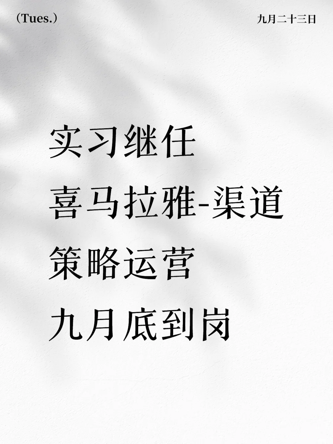 实习继任-急招 流程快