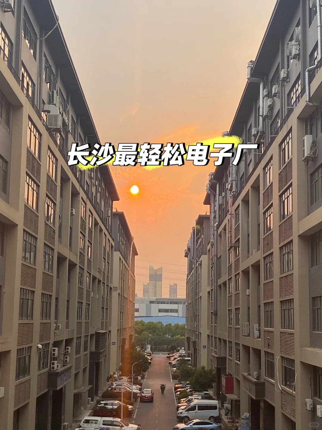 工厂招聘！！