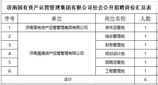 济南国有资产运营管理集团 2025年社会招聘