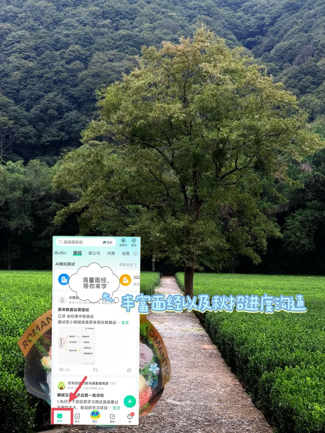我的秋招好像结束了..