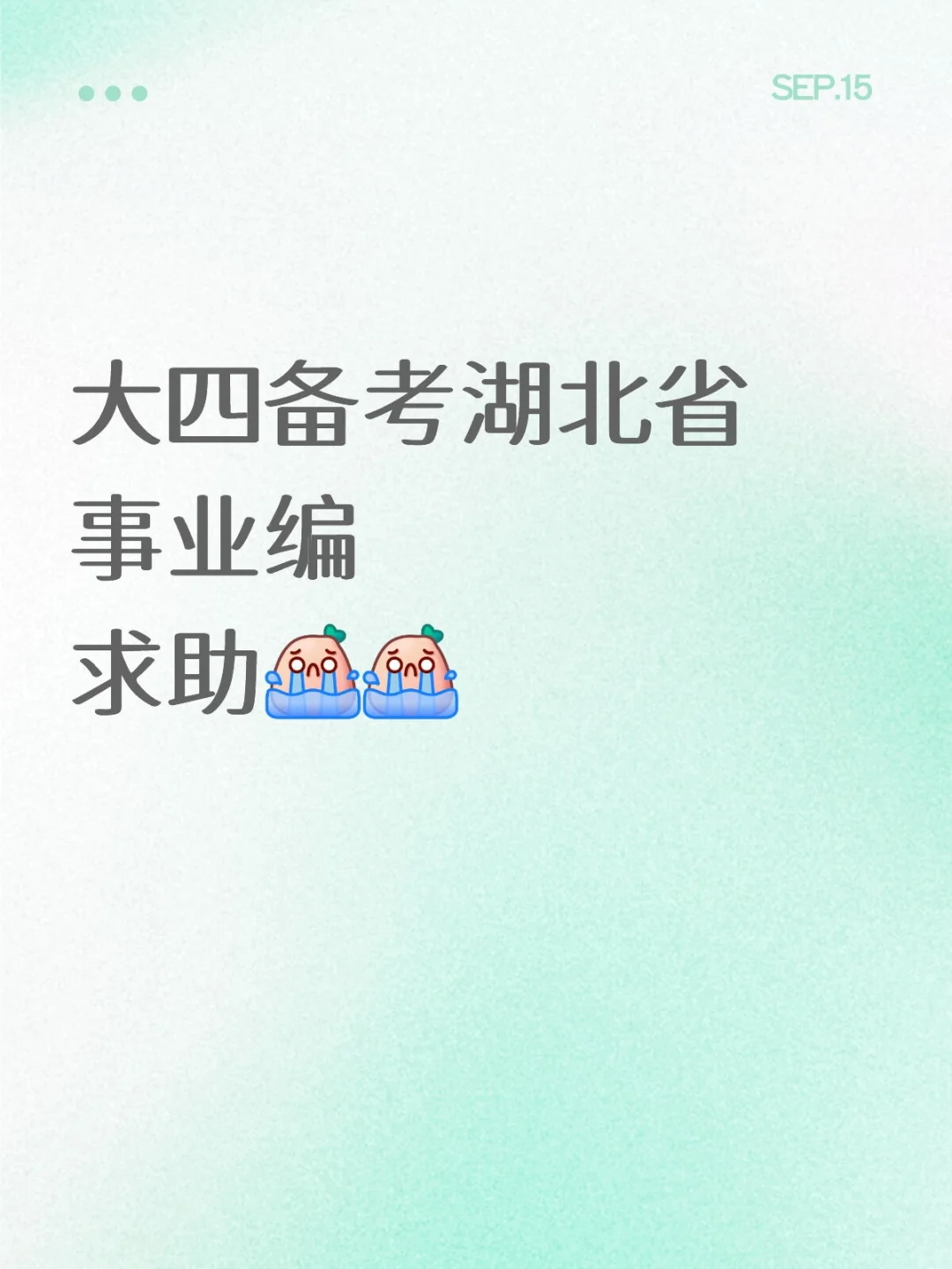 大四备考湖北省事业编求助