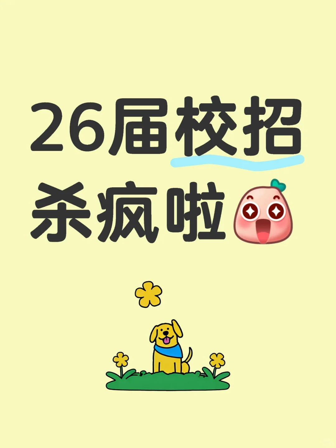 9.16，26届新开的校招