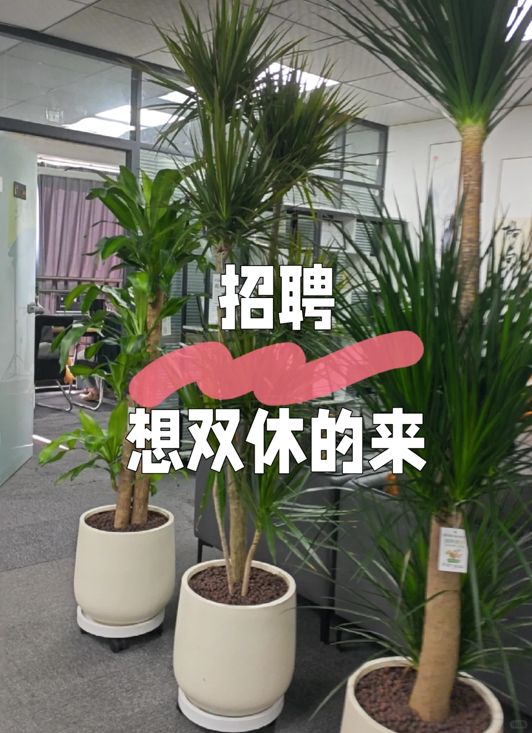 郑州招聘。双休