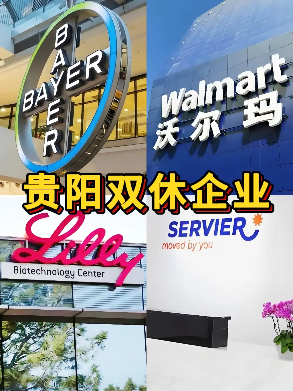 贵阳双休神仙公司合集来啦！打工人速码✨