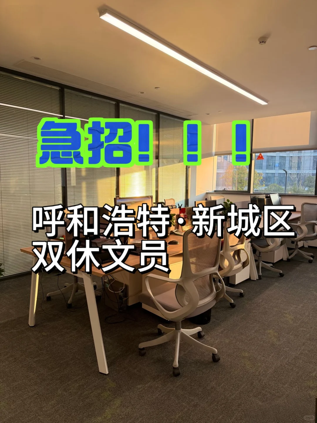 呼和浩特·双休文员来啦！不要错过！！！