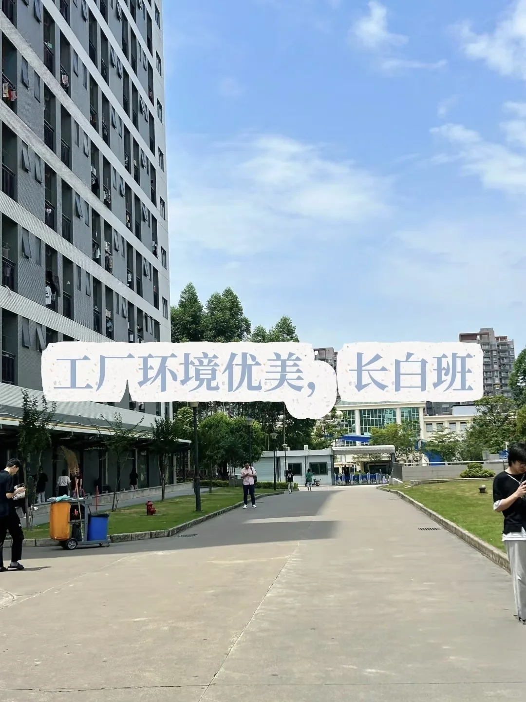 玩具厂开始招聘啦!