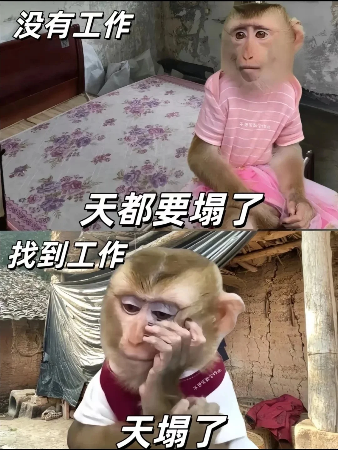 天津东丽区招人！高薪+双休