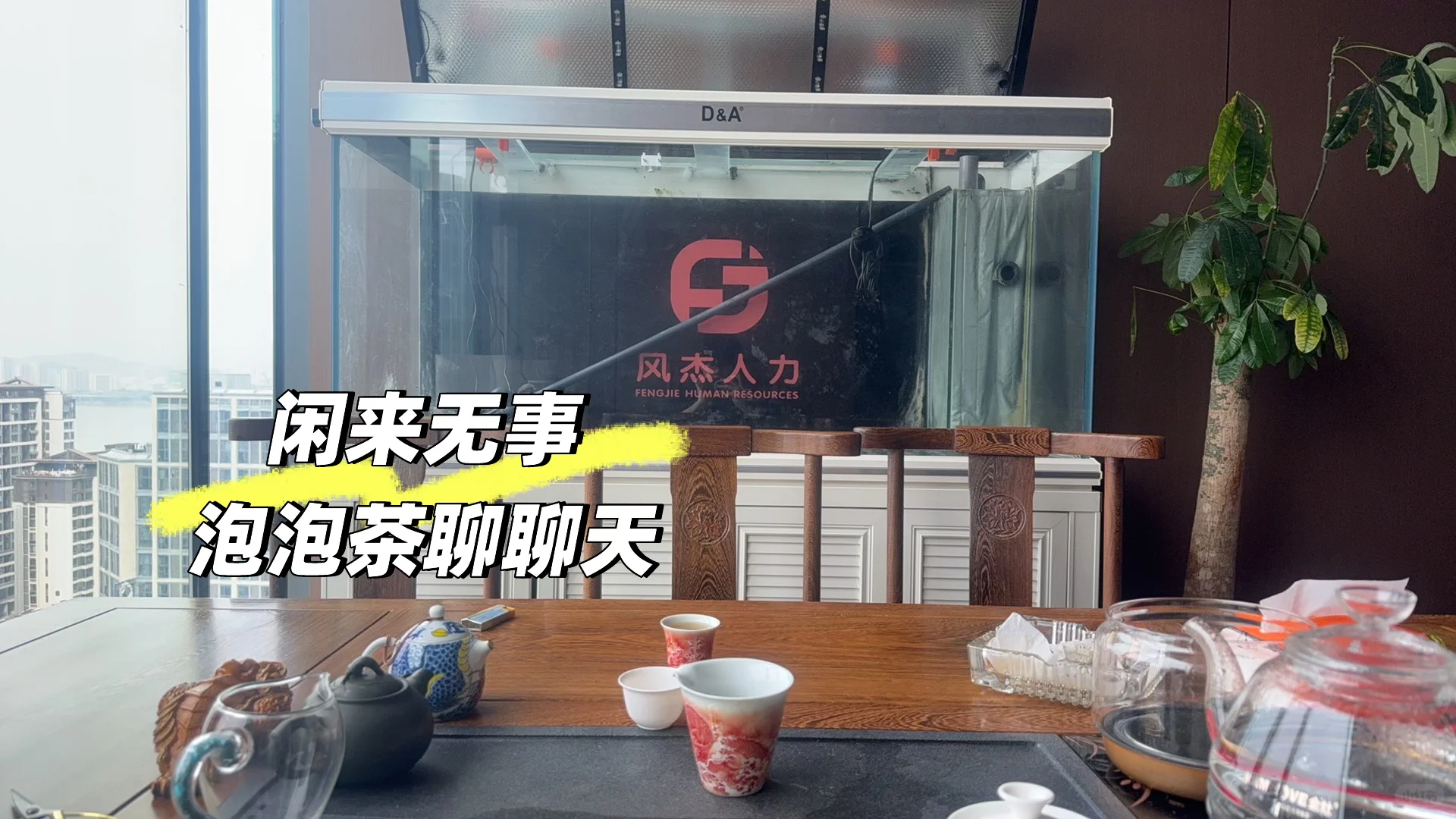 闽侯高新区招聘专员