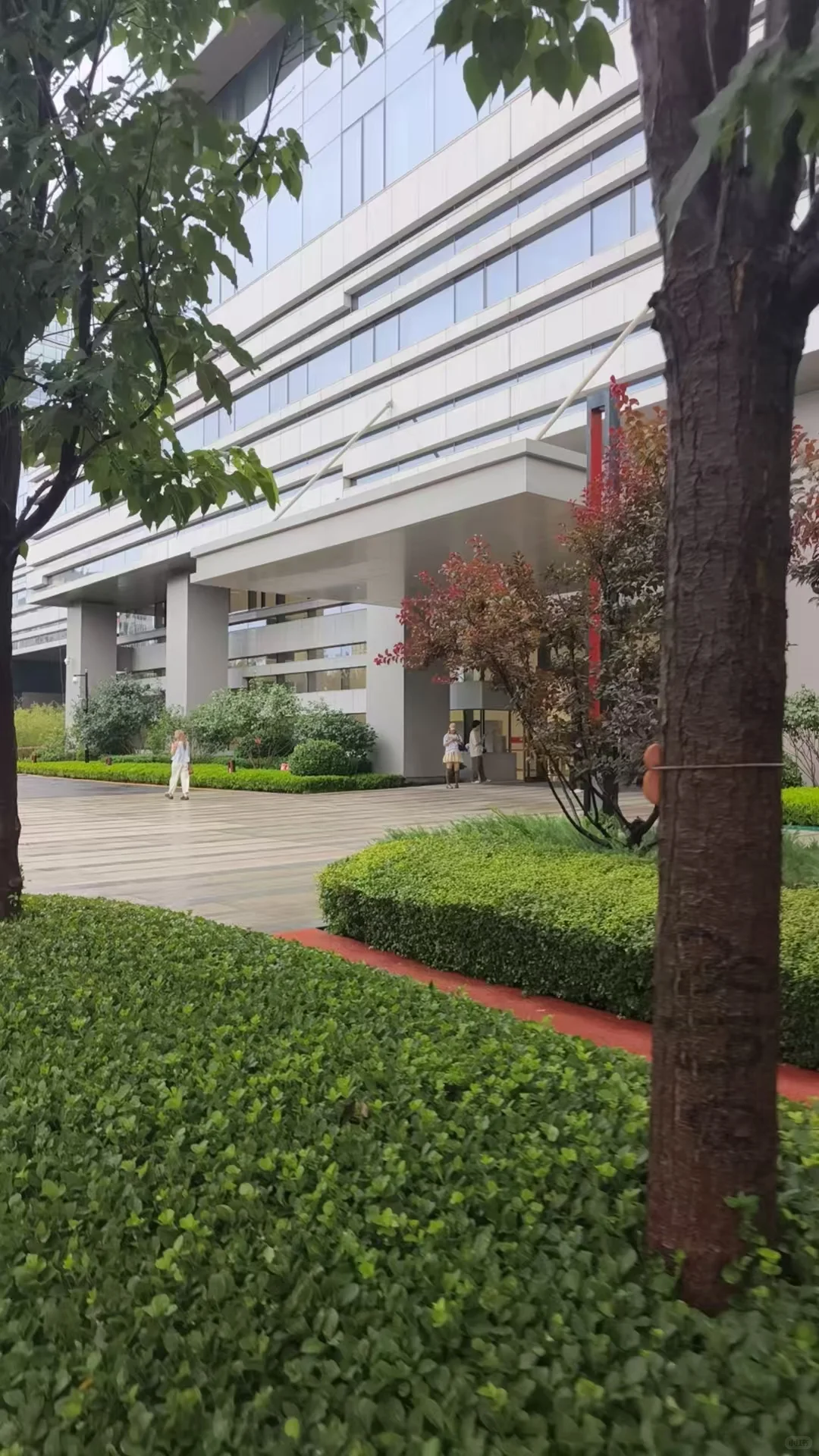 💥京东内推来啦！多岗热招