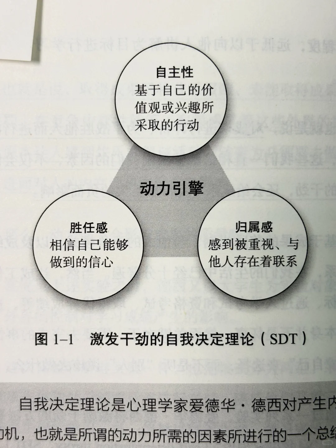 📕全球1%的顶尖人才都在使用的专注力训练法