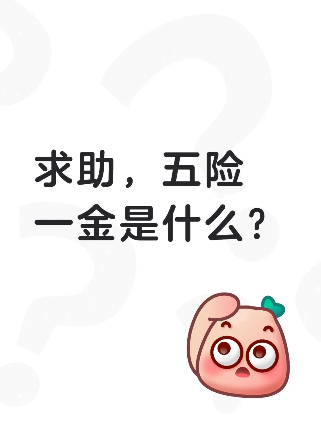 毕业大学生不知道五险一金怎么办？