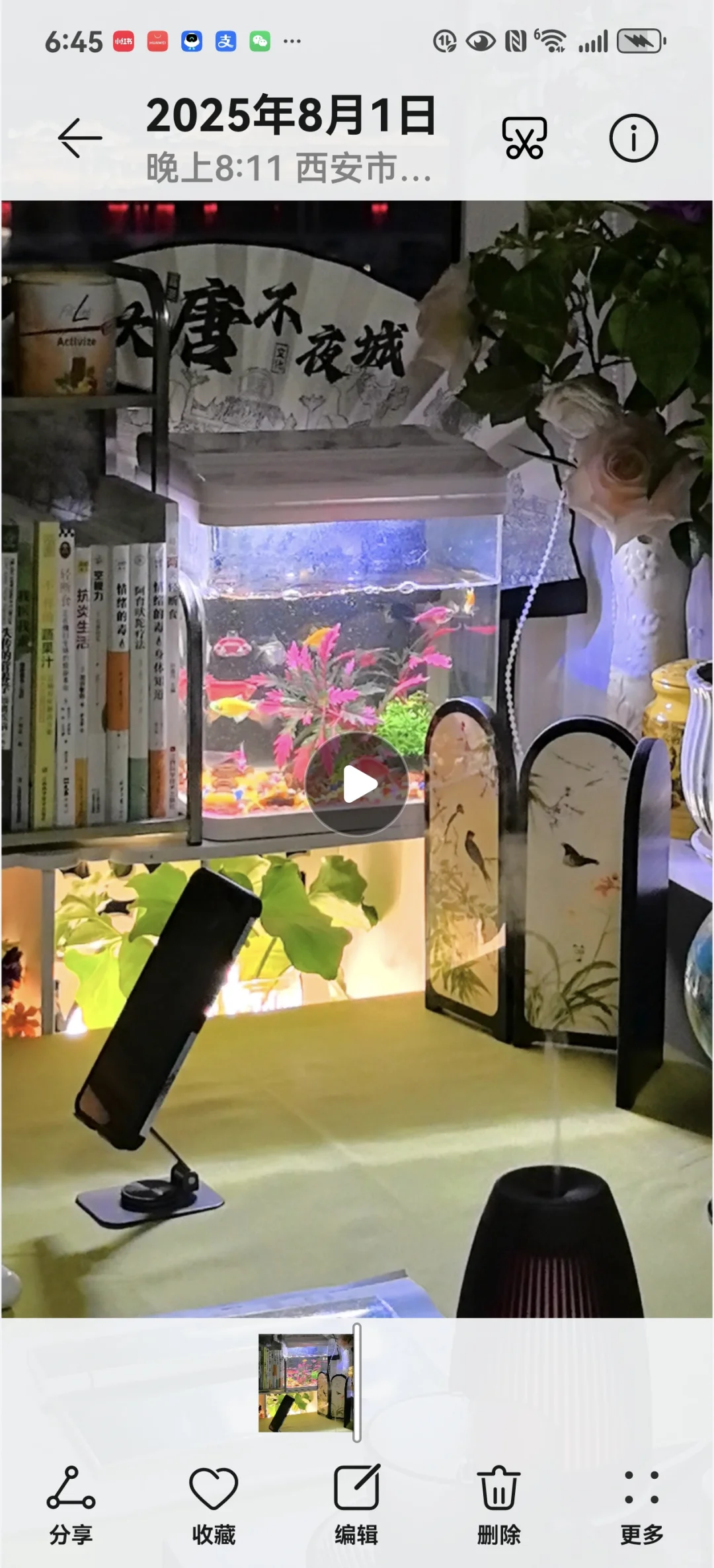 新手开播小贴士，轻松上手！
