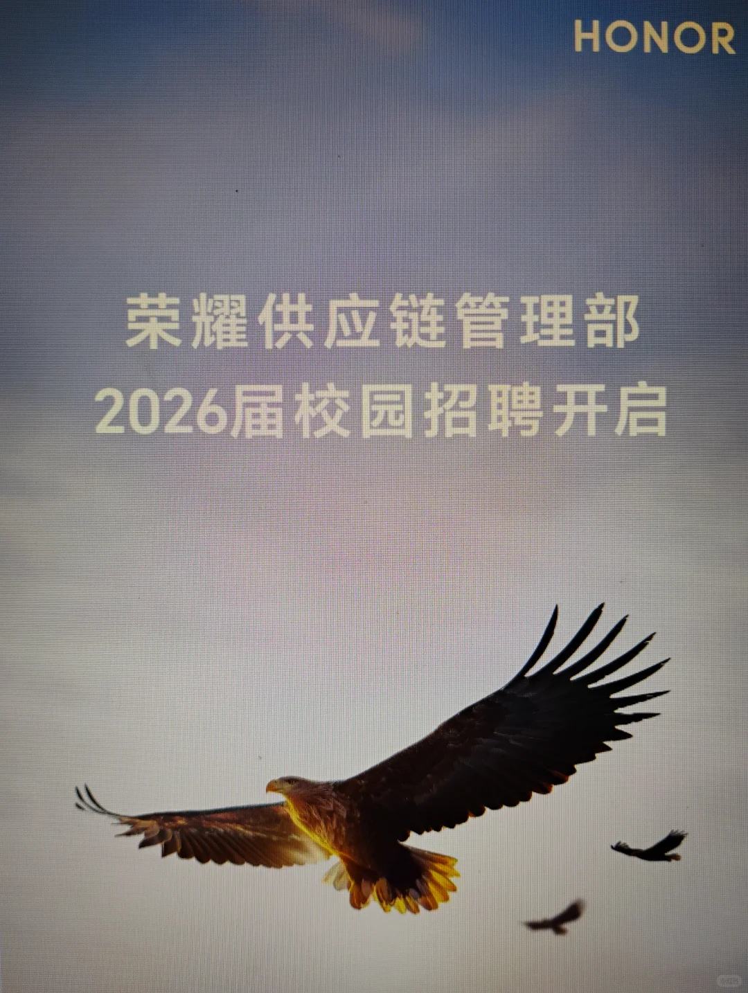 9.11 这些都是昨天新开的秋招😎校招网申