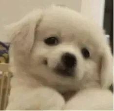 劳务所的花招把戏