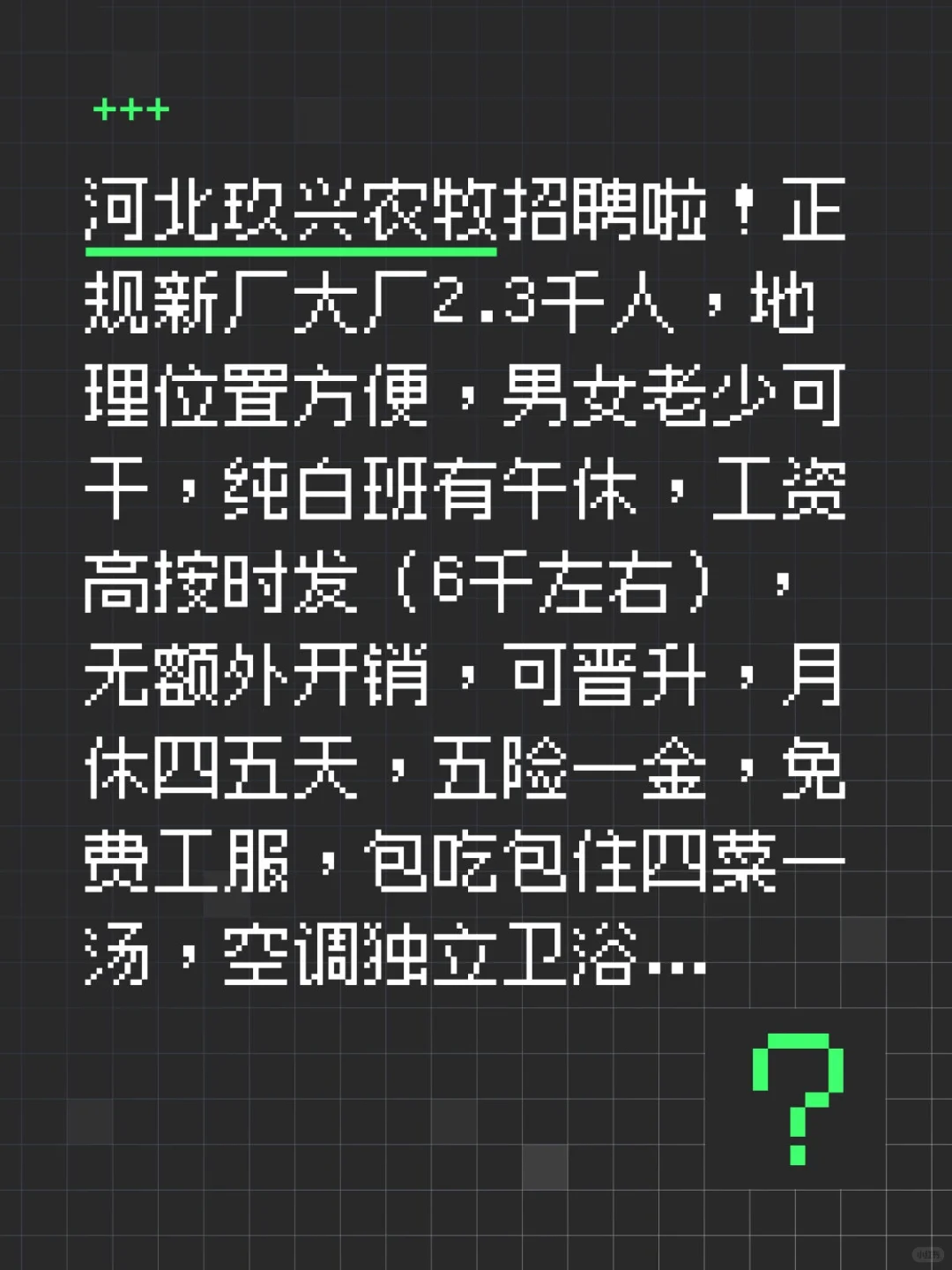河北玖兴农牧招聘啦！