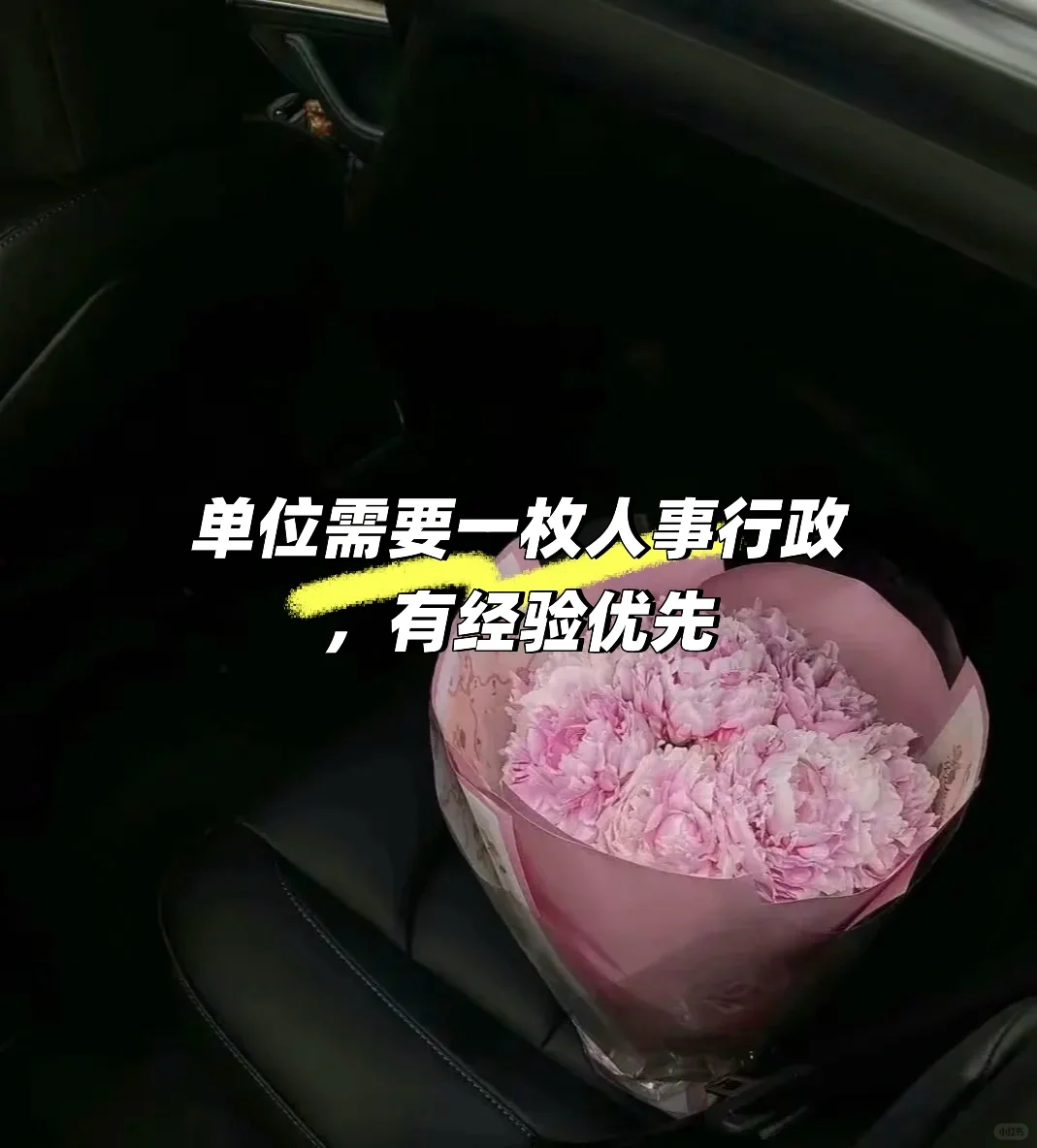 高薪聘请需要一枚人事行政