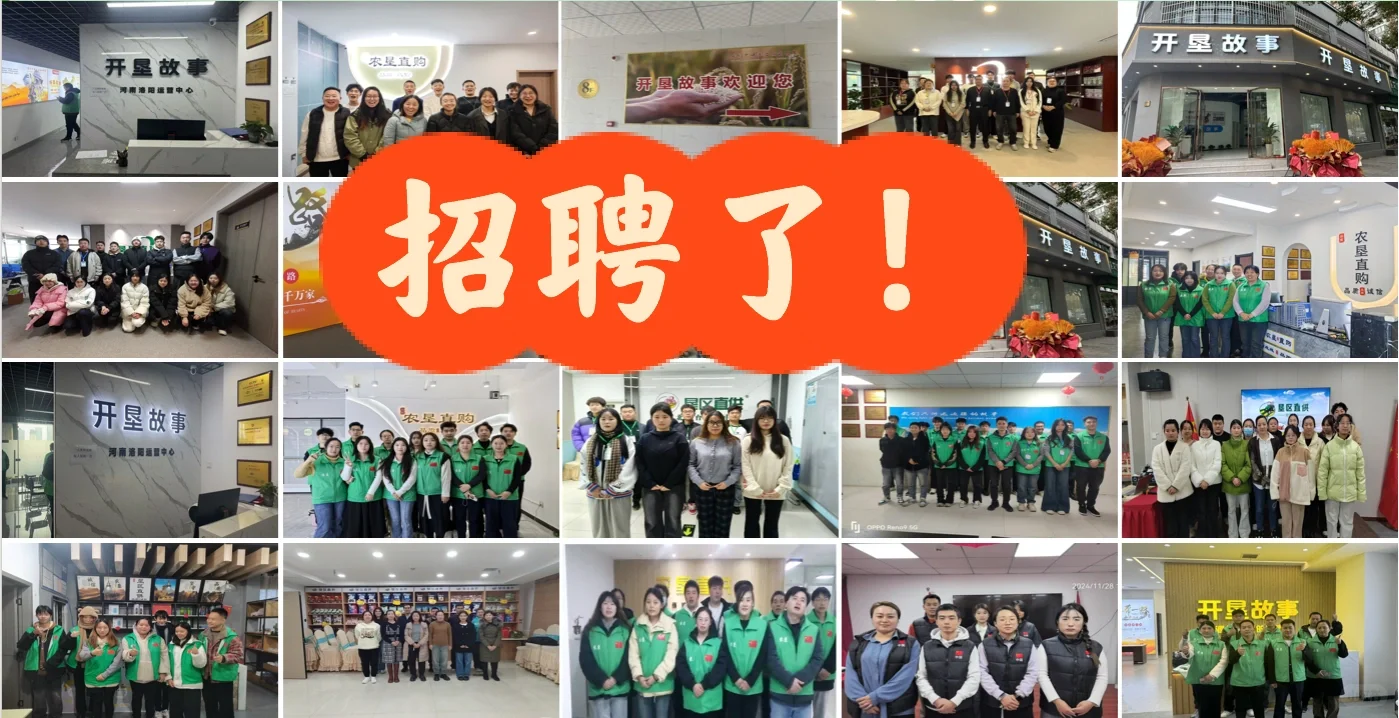 石家庄鹿泉区招聘大量人才