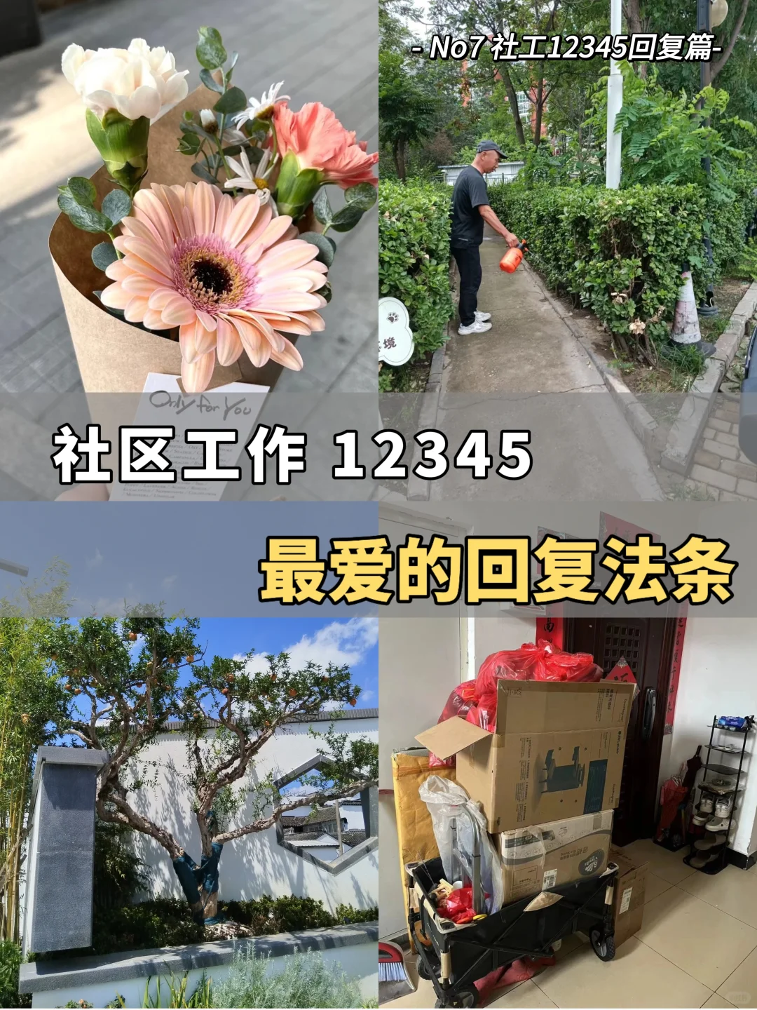 社区工作12345 最爱的回复法条